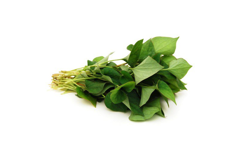 Rau diếp cá hỗ trợ điều trị mụn thịt