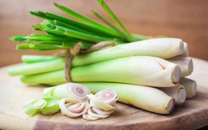 Cách xông mặt sau sinh với sả tươi được sẽ giúp da khỏe mạnh nhanh chóng