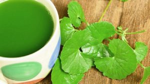 Rau má giúp trị sẹo rỗ hiệu quả