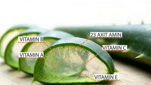 Nha đam là bậc thầy trị sẹo