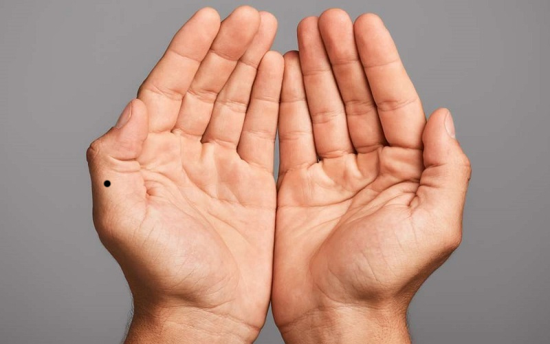 Nốt ruồi xuất hiện trên ngón cái, tay trái nam giới là người rất đào hoa