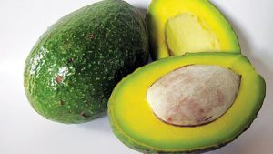 Bơ là loại thực phẩm ngon, bổ dưỡng