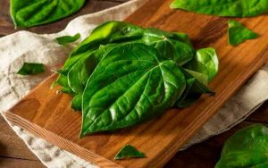 trị nám tàn nhang bằng lá trầu không