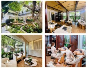 Hạ Massage là địa chỉ quen thuộc của những ai yêu thích gội đầu dưỡng sinh