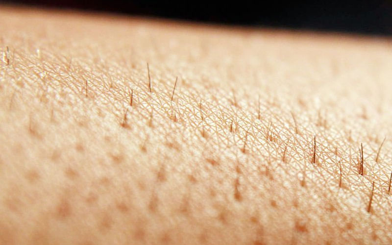 Sợi lông bị đứt gãy, không tác động được đến nang lông