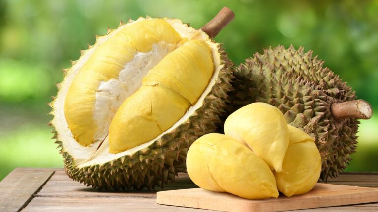 Do đặc tính nóng nên sầu riêng cũng được khuyến cáo không nên ăn sau xăm môi