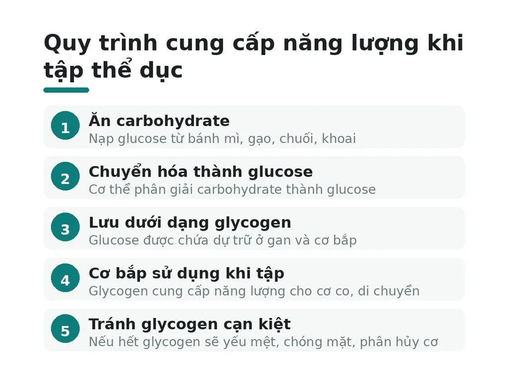Cơ thể cần năng lượng để tập thể dục hiệu quả?