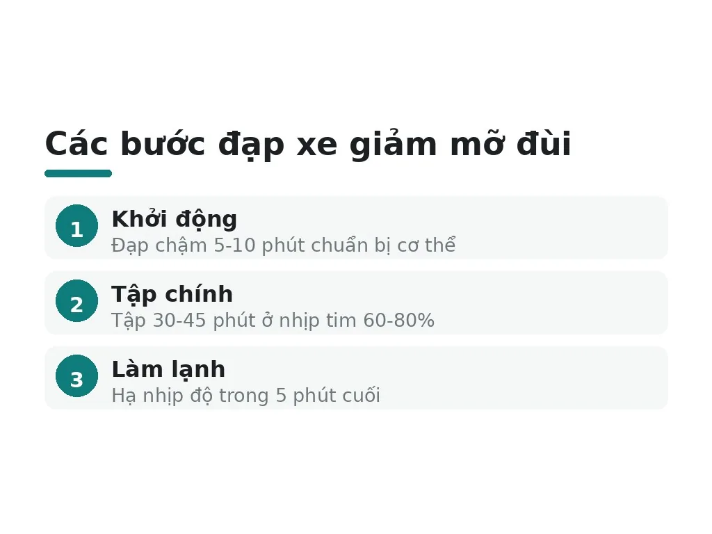 Ph\u01b0\u01a1ng ph\u00e1p \u0111\u1ea1p xe hi\u1ec7u qu\u1ea3 \u0111\u1ec3 gi\u1ea3m m\u1ee1 \u0111\u00f9i