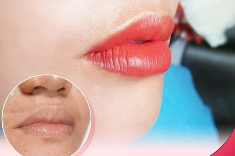 Vẻ đẹp tự nhiên với màu sắc tươi trẻ phù hợp với mọi lứa tuổi