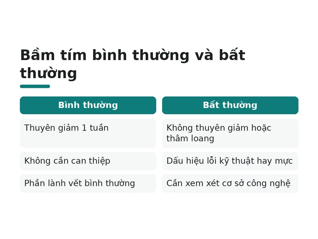 Những hiểu lầm phổ biến nào về môi thâm sau phun?