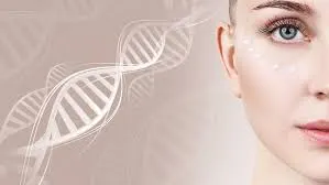 Collagen peptide có thấm qua da tốt hơn không?