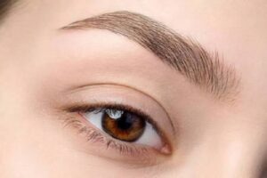 Mực hữu cơ và mực vô cơ khác nhau như thế nào?