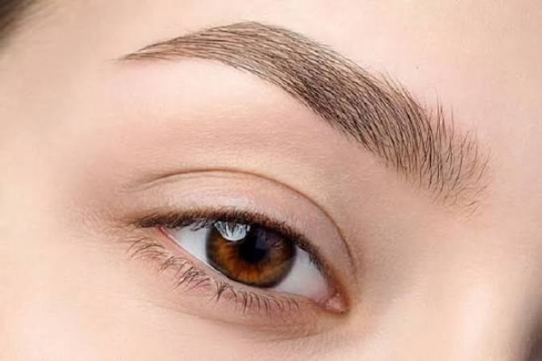 Mực hữu cơ và mực vô cơ khác nhau như thế nào?