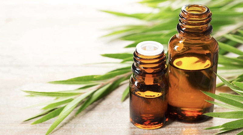 Tinh dầu tràm trà trị mụn ở mông khá hiệu quả