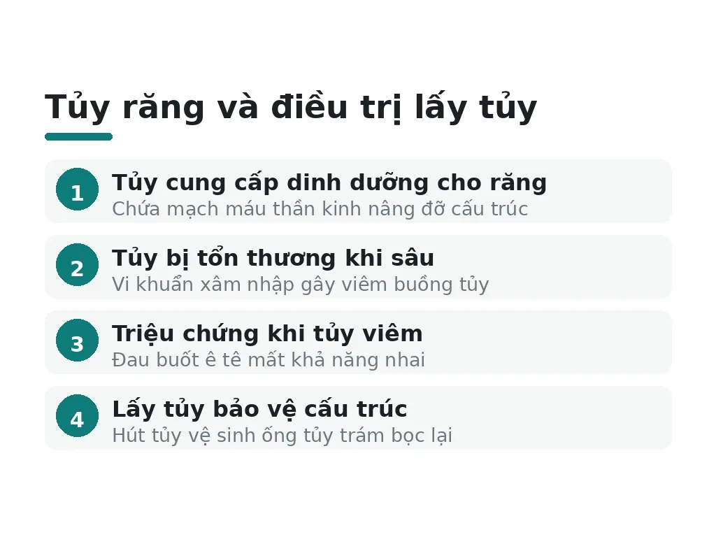 Tủy răng có vai trò gì, tại sao cần lấy
