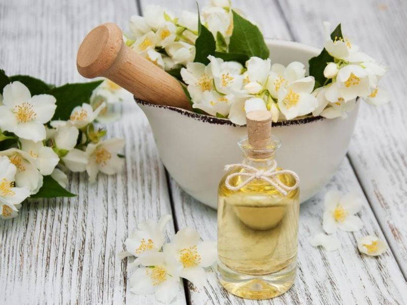 Tinh dầu hoa sơn trà có khả năng cấp ẩm, phục hồi da hiệu quả