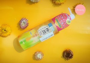 Dầu tẩy trang Hada Labo Gokujyun Cleansing Oil