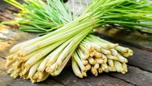 Xả có nhiều công dụng làm đẹp thần kỳ