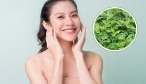 Tắm trắng bằng lá ngải cứu được chị em chứng minh rất hiệu quả