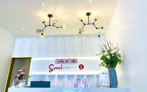 SeoulSpa.Vn cung cấp nhiều dịch vụ làm đẹp hiện đại cho khách hàng