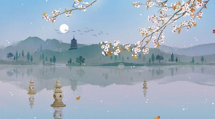 Bộ ảnh bìa facebook đẹp 2025