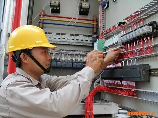 Làm công ty hay tự do kiếm lương cao hơn?