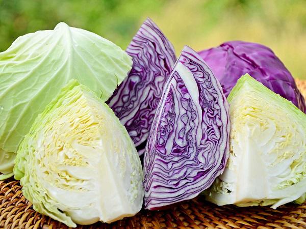 các loại bắp cải xanh và bắp cải tím tươi