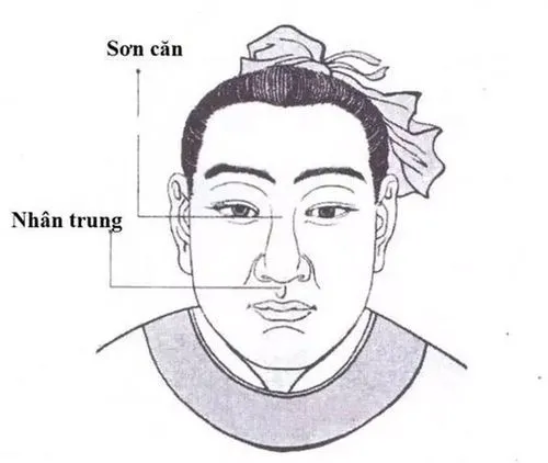 nhân tướng học mũi với các vị trí Sơn Căn và Nhân Trung trên khuôn mặt, liên quan đến quan niệm về vận mệnh và tài lộc.