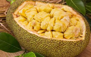 Mít có nhiều công dụng rất tốt vậy phun môi ăn mít được không