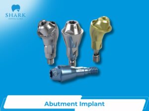 Abutment implant