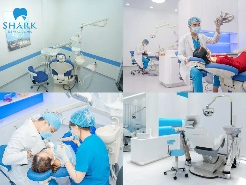 So sánh sứ kim loại và toàn sứ, nên chọn loại nào phù hợp? 11 Nha Khoa Shark là đơn vị nha khoa uy tín, quy tụ đội ngũ bác sĩ có chuyên môn, kinh nghiệm
