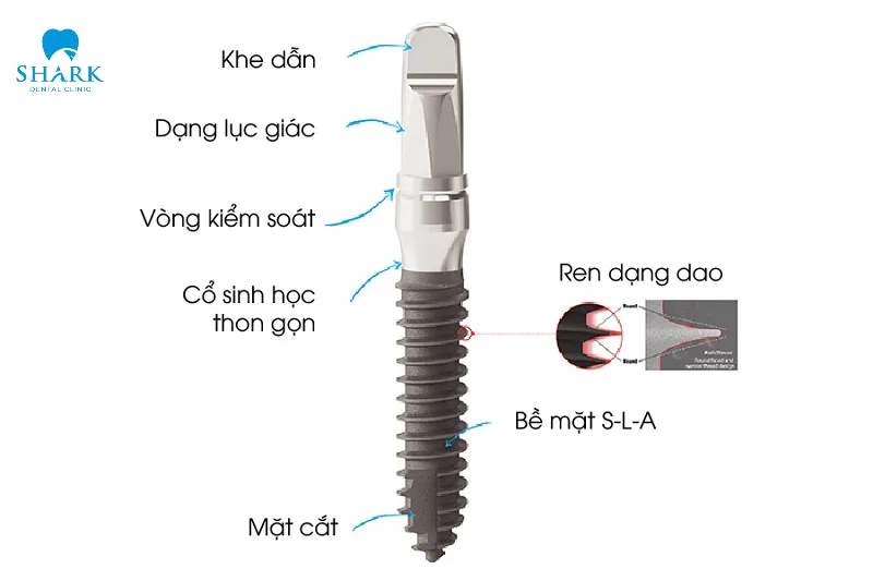Mô tả cấu tạo của implant mini