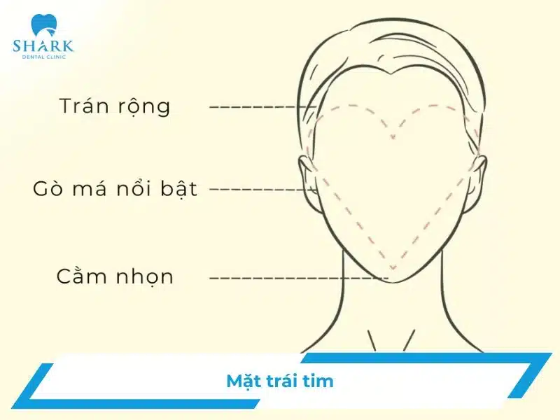 Mặt trái tim