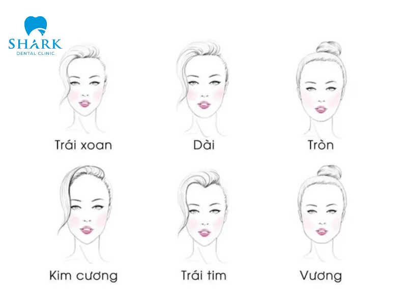 Các dấu hiệu giúp bạn phân biệt rõ mặt trái xoan và các tướng mặt khác