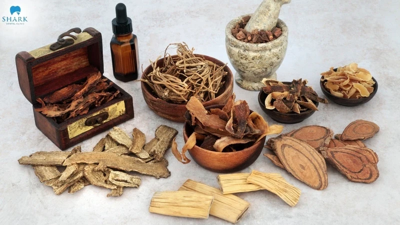 Top 12 cách trị nhiệt miệng trong 1 ngày (qua 1 đêm) hiệu quả 14 Đông y điều trị nhiệt miệng theo cơ chế giúp giải độc, thanh nhiệt cơ thể, từ đó vết loét hồi phục nhanh chóng một cách hiệu quả