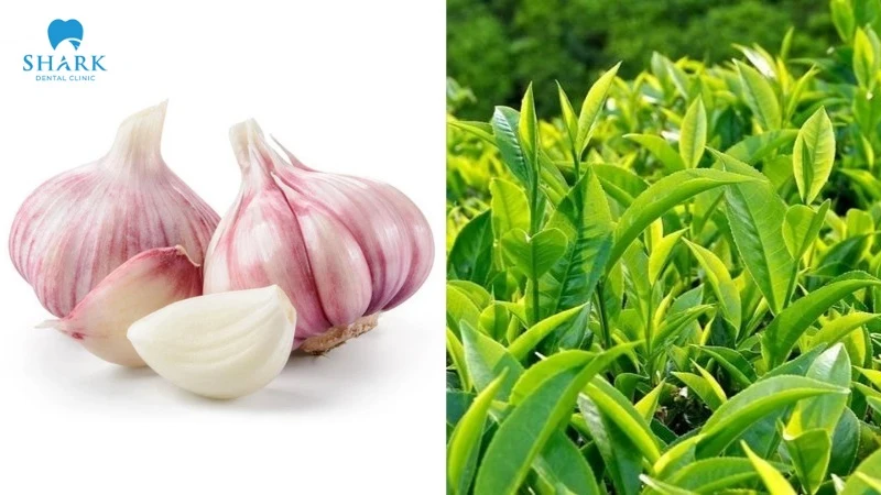 Mẹo chữa đau răng cho mẹ cho con bú an toàn và hiệu quả 8 Tỏi tươi và lá trà xanh hỗ trợ hiệu quả trong việc trị đau răng