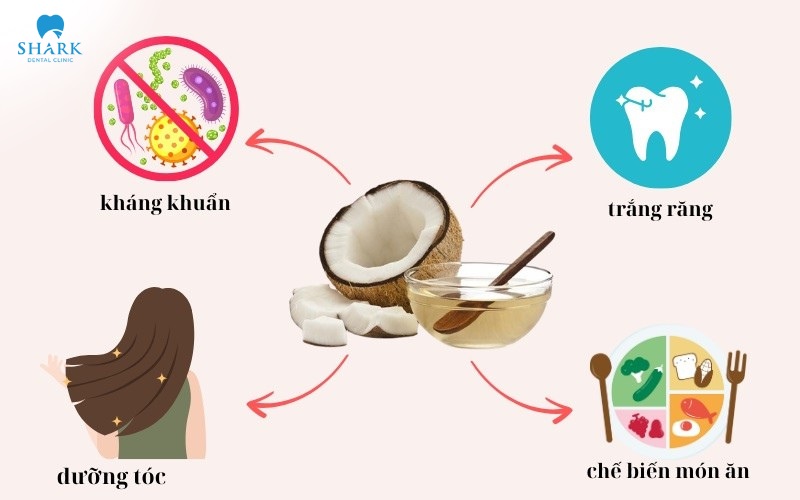 Ứng dụng đa dạng của dầu dừa trong đời sống hằng ngày