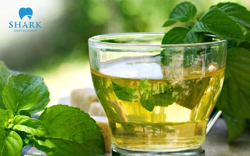 Bạc hà chứa các chất oxy hóa và kháng khuẩn giúp thuyên giảm đau nhức răng hiệu quả