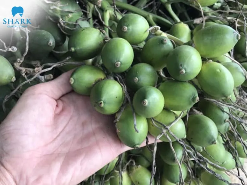 Cách làm trắng răng sau 1 đêm tại nhà an toàn, hiệu quả nhất 15 Sử dụng vỏ cau là phương pháp làm trắng răng từ xưa đến nay