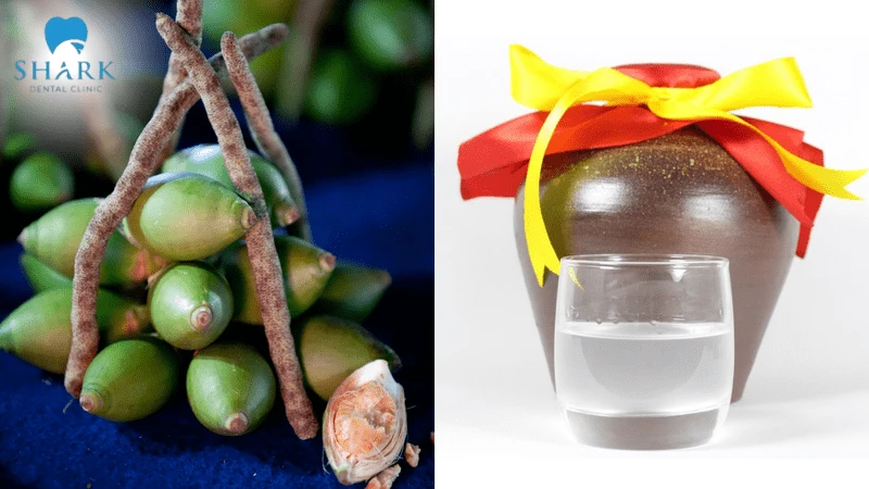 2 cách ngâm rượu cau chữa sâu răng hiệu quả và an toàn 7 Cách ngâm rượu cau đơn giản từ cau tươi và rượu trắng để chữa sâu răng