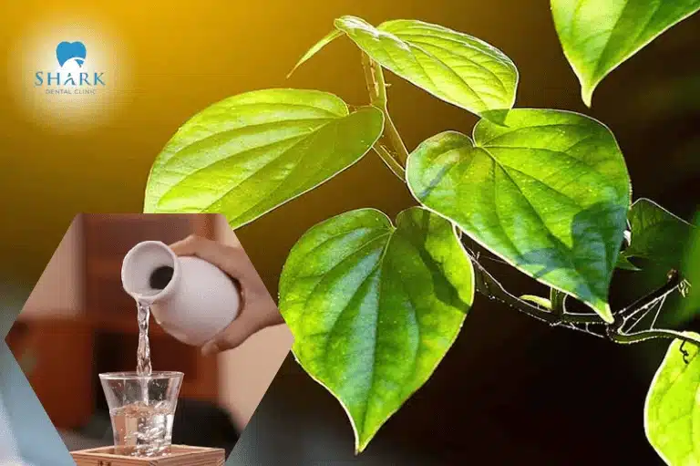 Dùng lá trầu không cùng rượu giúp cải thiện tình trạng đau do sâu răng