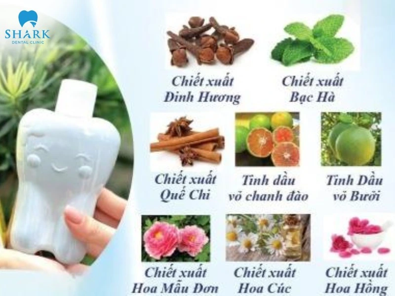 Nước súc miệng Dental Care có tốt không? Có thực sự hiệu quả? 5 Thành phần nước súc miệng Dental Care