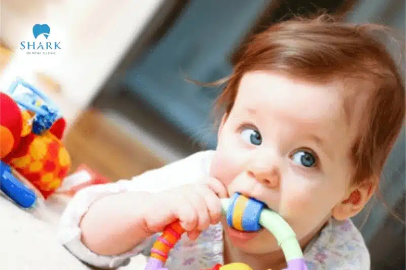 Trẻ mấy tháng mọc răng? Thứ tự mọc răng và dấu hiệu mọc răng của trẻ 14 Trẻ thường gặm đồ chơi để giảm cảm giác ngứa nướu