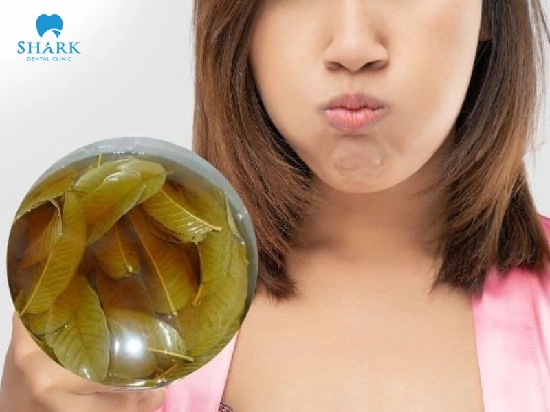 Lá ổi trị đau răng có tốt không? 6 cách chữa sâu răng với lá ổi 11 Súc miệng bằng lá ổi cải thiện bệnh sâu răng hiệu quả