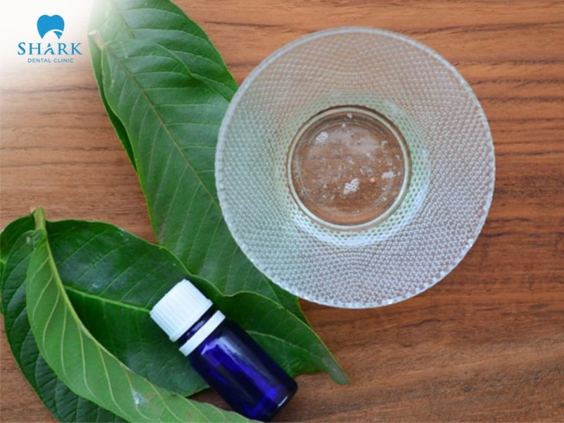 Lá ổi trị đau răng có tốt không? 6 cách chữa sâu răng với lá ổi 13 Sử dụng tinh dầu ổi trị sâu răng là phương pháp đơn giản và hiệu quả nhất