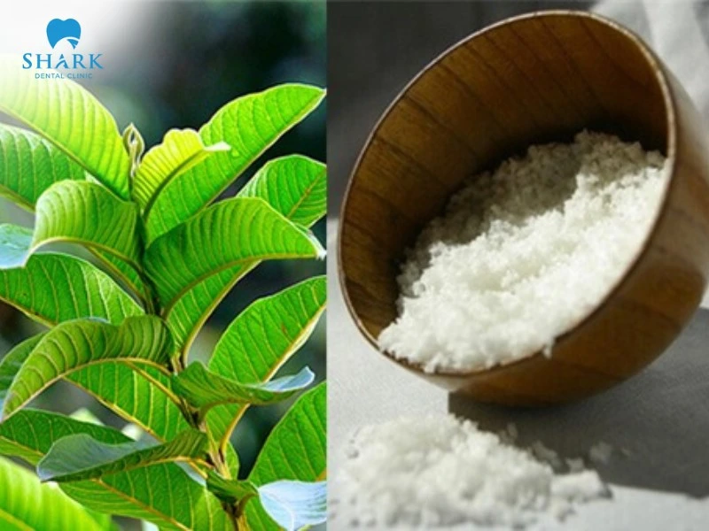 Lá ổi trị đau răng có tốt không? 6 cách chữa sâu răng với lá ổi 14 Lá ổi kết hợp với muối giúp kháng viêm, giảm đau răng