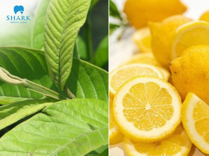 Lá ổi trị đau răng có tốt không? 6 cách chữa sâu răng với lá ổi 15 Kết hợp lá ổi với chanh giúp làm sạch mảng bám trên răng
