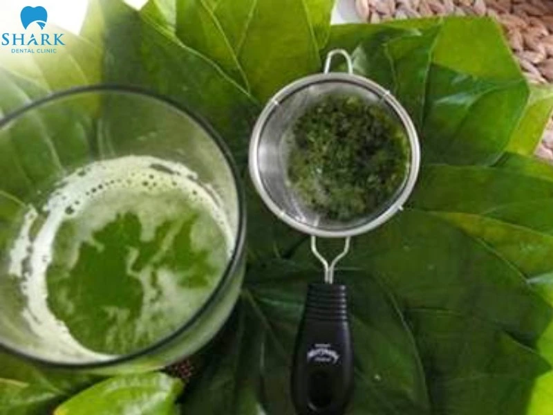 Nhét gì vào răng sâu để làm giảm cơn đau tạm thời? 13 Lá trầu không giúp giảm đau và ức chế vi khuẩn