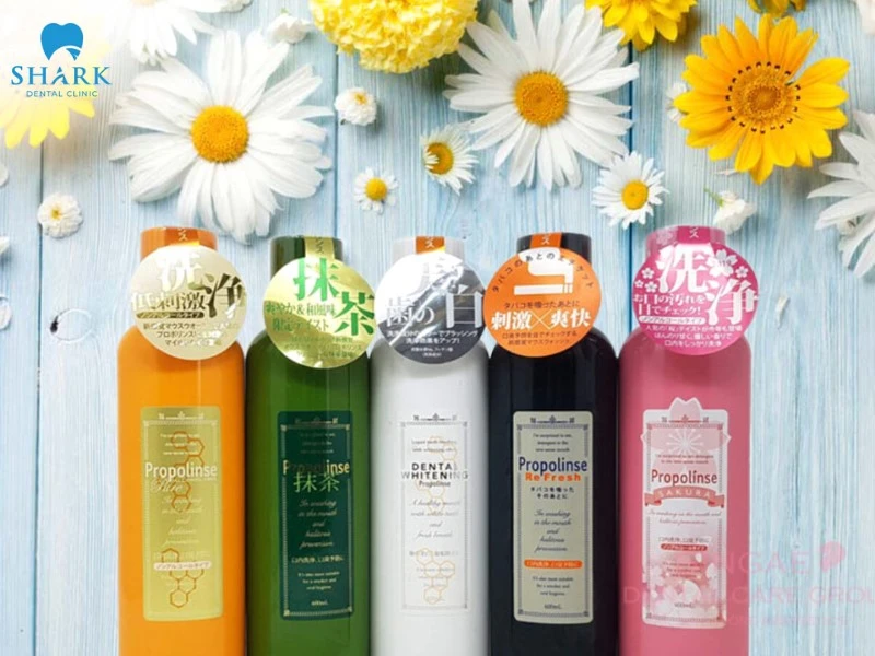 TOP 10 nước súc miệng trắng răng hiệu quả và bán chạy nhất 14 Nước súc miệng Propolinse đến từ Nhật Bản với nhiều hương vị khác nhau