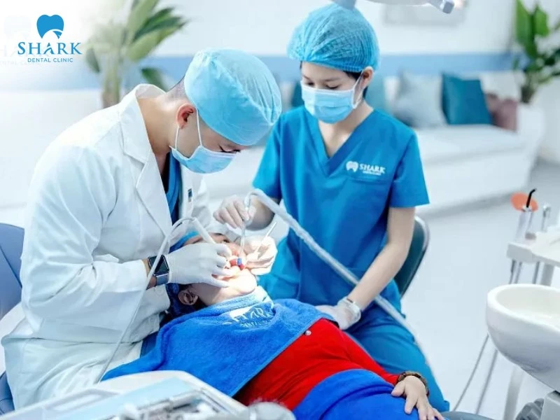 Túi nha chu là gì? Giá nạo túi nha chu bao nhiêu tiền? 13 Nha khoa Shark là địa chỉ đáng tin cậy trong điều trị và nạo túi nha chu an toàn, hiệu quả